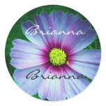 Brianna name sticker