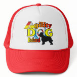 Briard Agility Shirts Gifts Mesh Hat