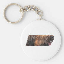 Briard Schlüsselband