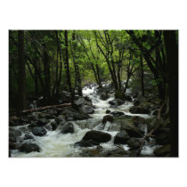 Bridalveil Creek Photo Print