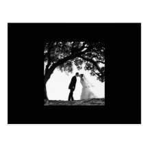 Bride Kiss under Oak Postcard