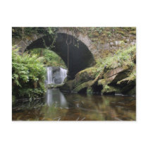 Bridge above Torc waterfall Post Cards