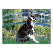 Bridge - Boston Terrier #4 Greeting Cards