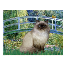 Bridge - Himalayan cat 7 Postcard
