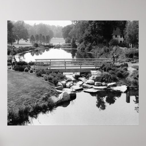 Bridge in CT Print