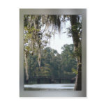 Bridge in the Swamps Postcard