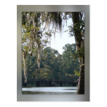 Bridge in the Swamps Postcard