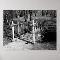Bridge of Branches Print