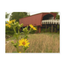 Bridge of Madison County Post Card