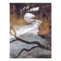 Bridge Over a Frozen Stream by Alexandra Cook Photo