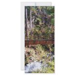 Bridge rack cards