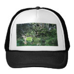 Bridge To Strawberry Hill On Stow Lake In Golden G Mesh Hats