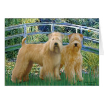 Bridge - Two Wheaten Terriers Greeting Cards