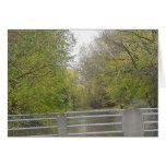 Bridges of Life cards