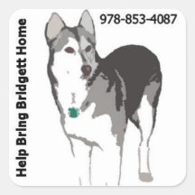 Bridgett stickers white