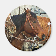 Bridled Horse Heads Refrigerator Magnet