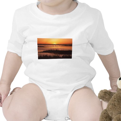 Brigantine NWR at Sunset.jpg Baby Creeper