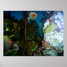 Bright and beautiful seascape poster