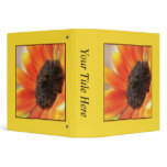 Bright and bold sunflower
