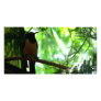 Bright Bird Customized Photo Card