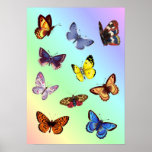 Bright Butterflies