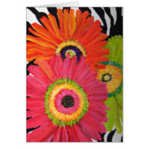 Bright & Colourful Gerbera Daisies