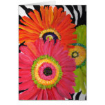 Bright & Colourful Gerbera Daisies Card