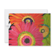 Bright & Colourful Gerbera Daisies
