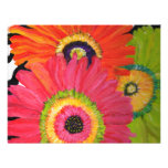 Bright & Colourful Gerbera Daisies Personalized Invitation