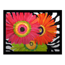 Bright & Colourful Gerbera Daisies Postcard