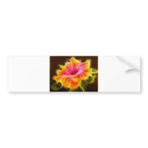 Bright Colourful Hibiscus Flower