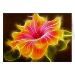 Bright Colourful Hibiscus Flower
