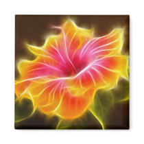Bright Colourful Hibiscus Flower