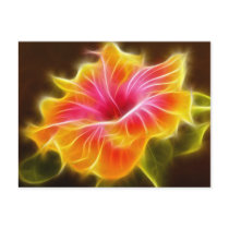 Bright Colourful Hibiscus Flower