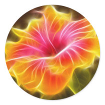 Bright Colourful Hibiscus Flower