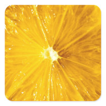 Bright Colourful Lemon Close Up Stickers