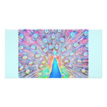 Bright Colourful *Peacock* Spirit Design Photo Card
