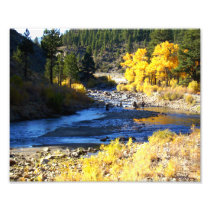 Bright Creek Photo Print