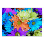 Bright Daisy Bouquet Greeting Card