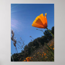 Bright Day Print