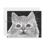 BRIGHT-EYED CAT IN PENCIL: ART PERSONALIZED ANNOUNCEMENT