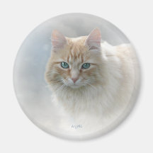 Bright Eyes Cat magnet ...© Angel Honey, 2010