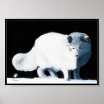 Bright Fox Print