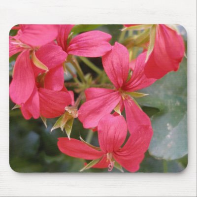 Bright Geranium Mousepad by ooitburns