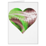 Bright Heart Greeting Cards