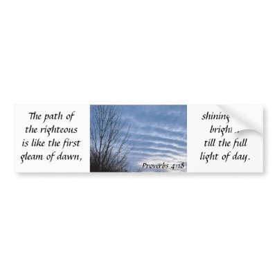 Bright January Dawn Bumper Sticker by PeacefulPlaces