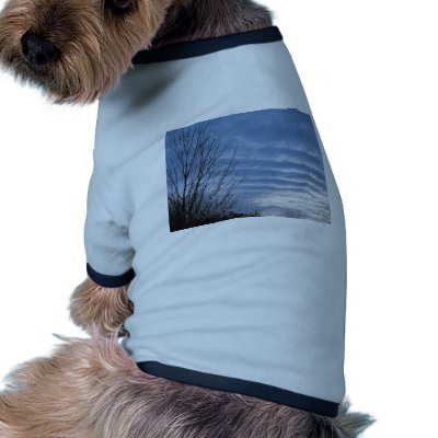 Bright January Dawn Doggie Tee Shirt by PeacefulPlaces
