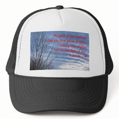 Bright January Dawn Mesh Hat by PeacefulPlaces