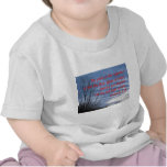 Bright January Dawn Tees