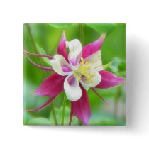 Bright McKana Type Columbine